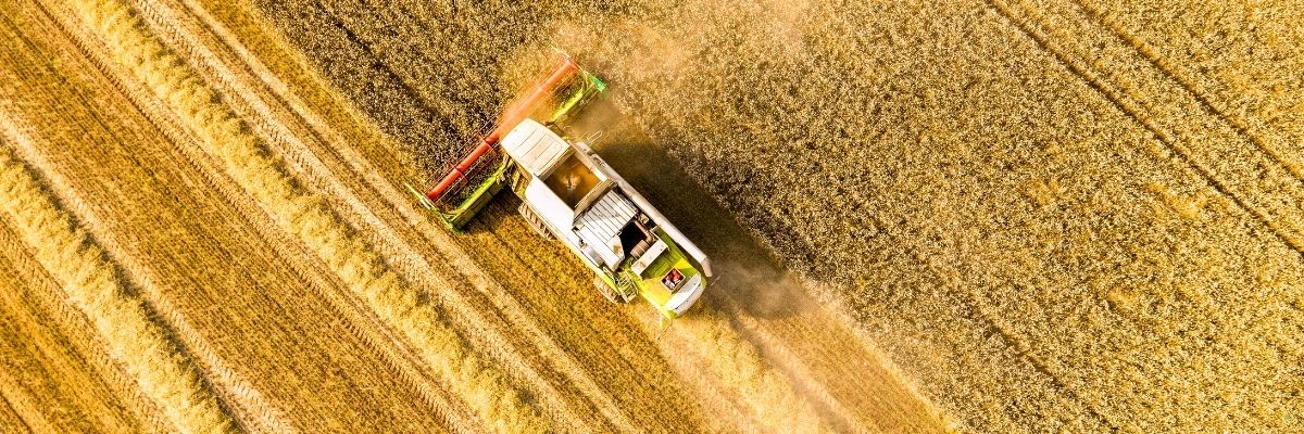 Van’da Tarım Sektöründe Son Gelişmeler