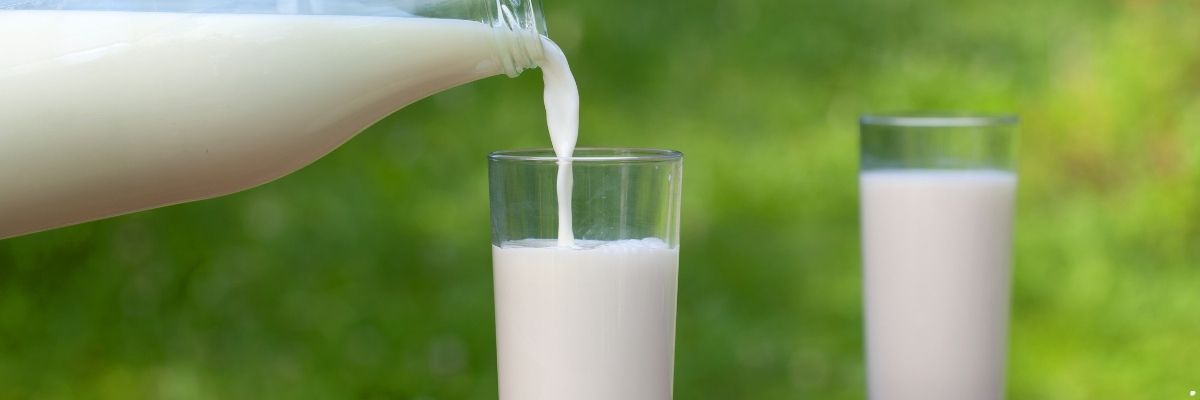 Van’da Süt Üretimi ve Yöresel Süt Ürünleri